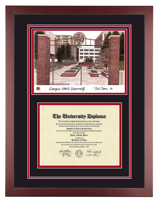 Georgia State University