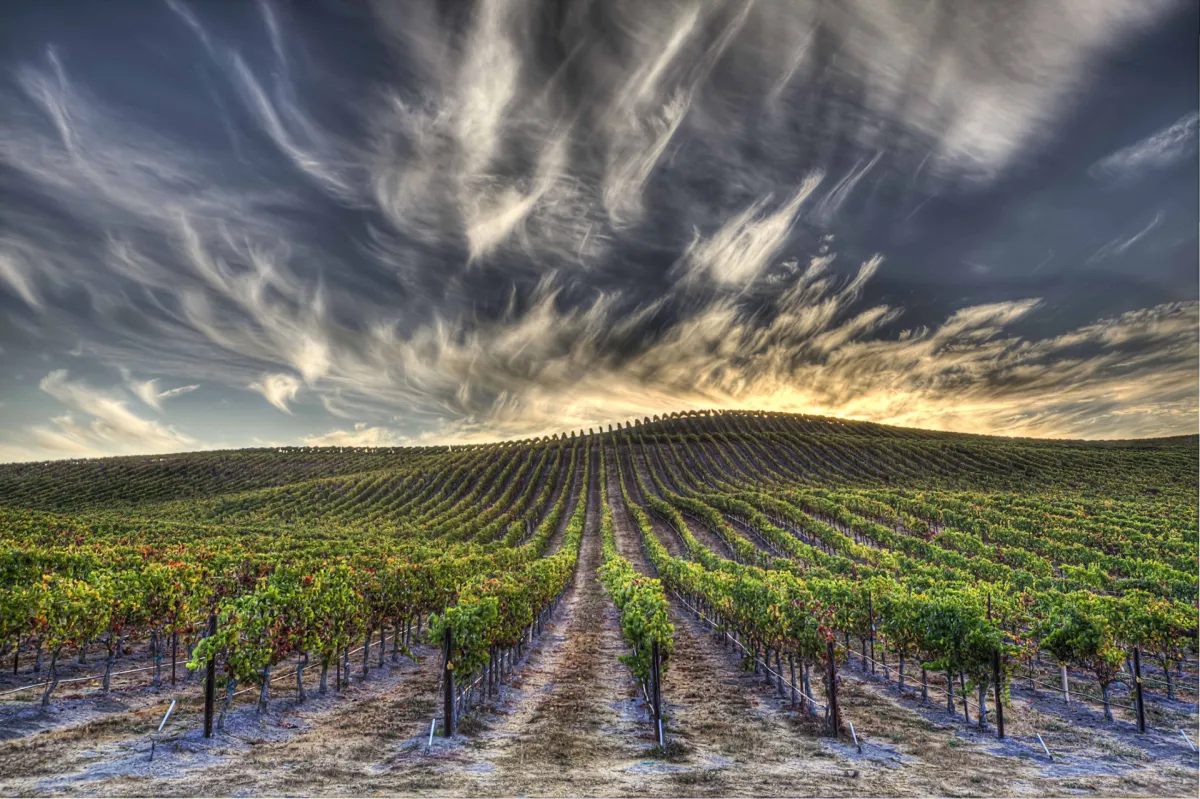 Napa Valley