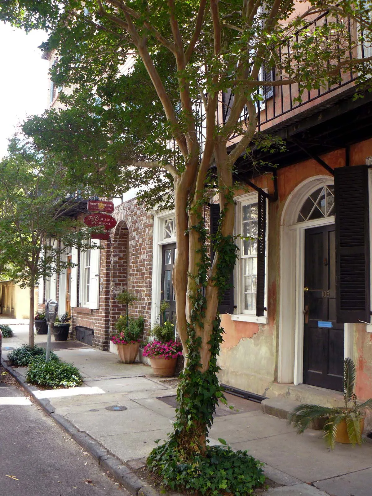 Sen. Victoria Ashworth